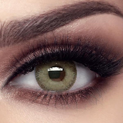 Bella Elite Gray Olive (3 months wear) - Lens Republica | Solotica Official Retailer USA & Australia | FREE Shipping