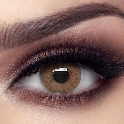 Bella Elite Wild Honey (3 months wear) - Lens Republica | Solotica Official Retailer USA & Australia | FREE Shipping