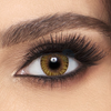 Freshlook Colorblends Pure Hazel Contact Lenses - 6 pack (2 week wear) - Lens Republica | Solotica Official Retailer USA & Australia | FREE Shipping